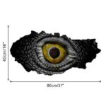 Dinosauří oko - ještěří oko 6