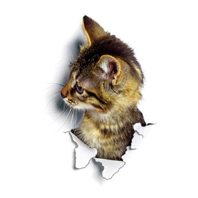 Nálepka na zeď | 3D samolepka na zeď kočka - koťátko z profilu