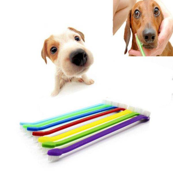 Oboustranný zubní kartáček pro psy a kočky - náhodná barva