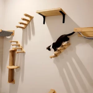 Kočičí prolézačky na zeď