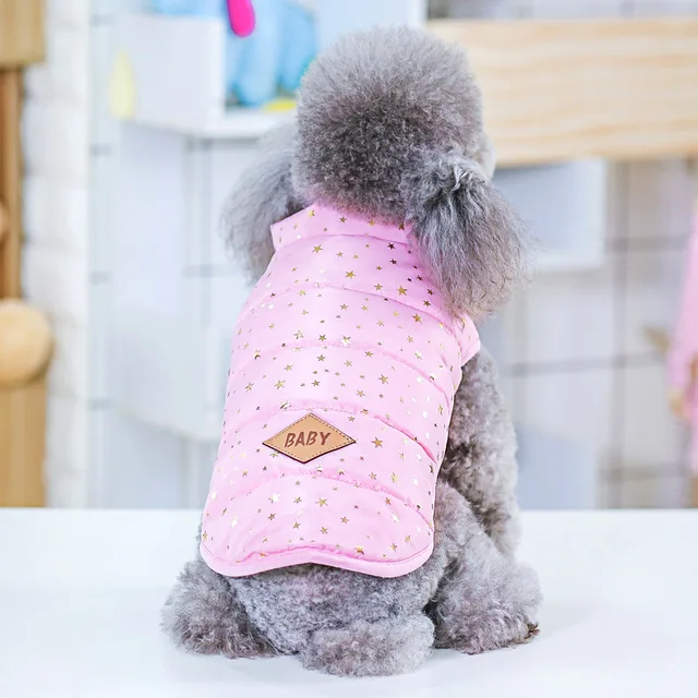 Zimní bunda pro malé psy - 4, XL