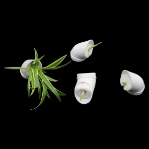 Hydroponické květináče s kolonizačními kelímky 50 kusů