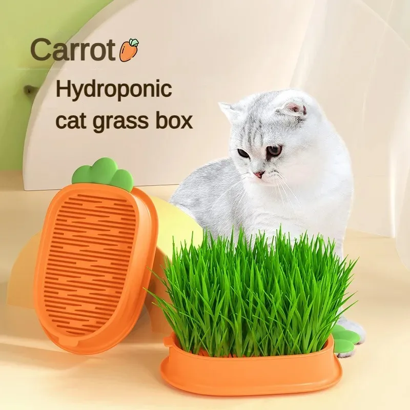 Hydroponický truhlík pro kočičí trávu s domácím mini skleníkem